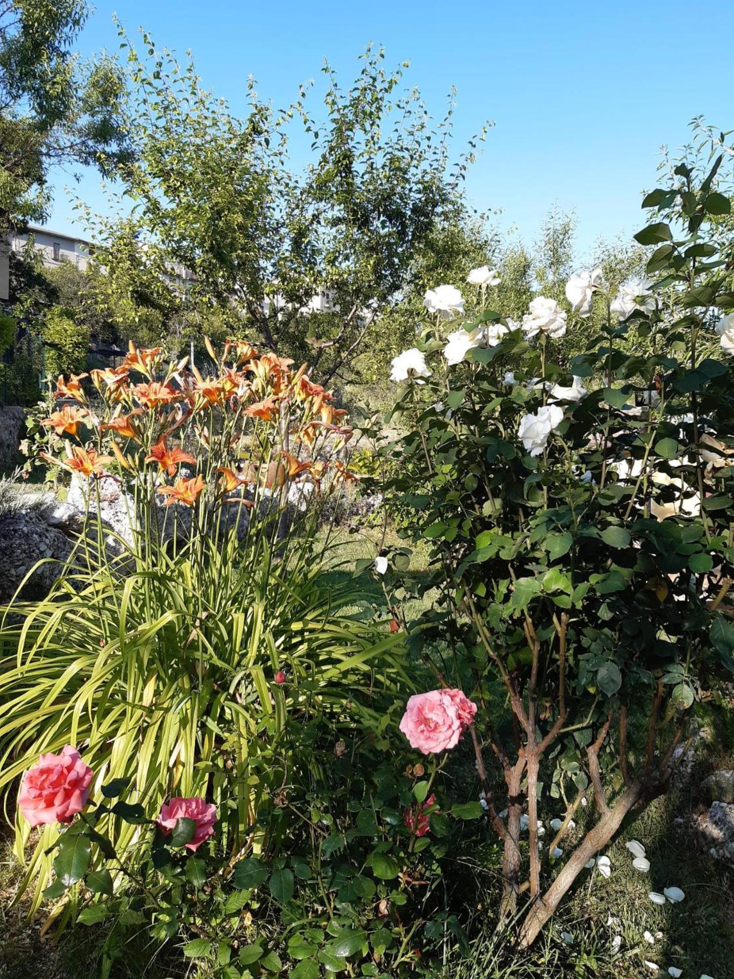 Bed and Breakfast Il Girasole Castelvecchio Calvisio Экстерьер фото