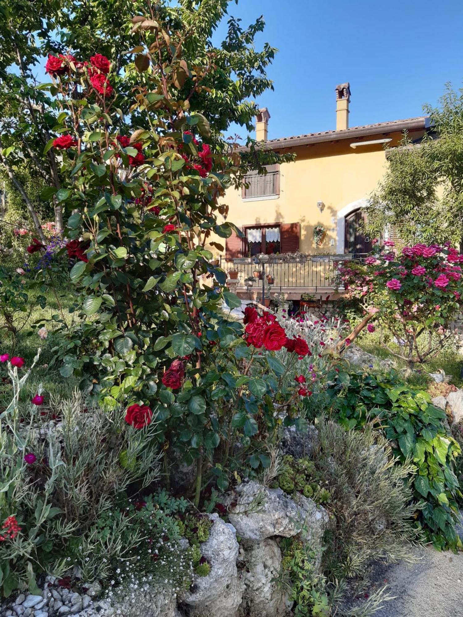 Bed and Breakfast Il Girasole Castelvecchio Calvisio Экстерьер фото