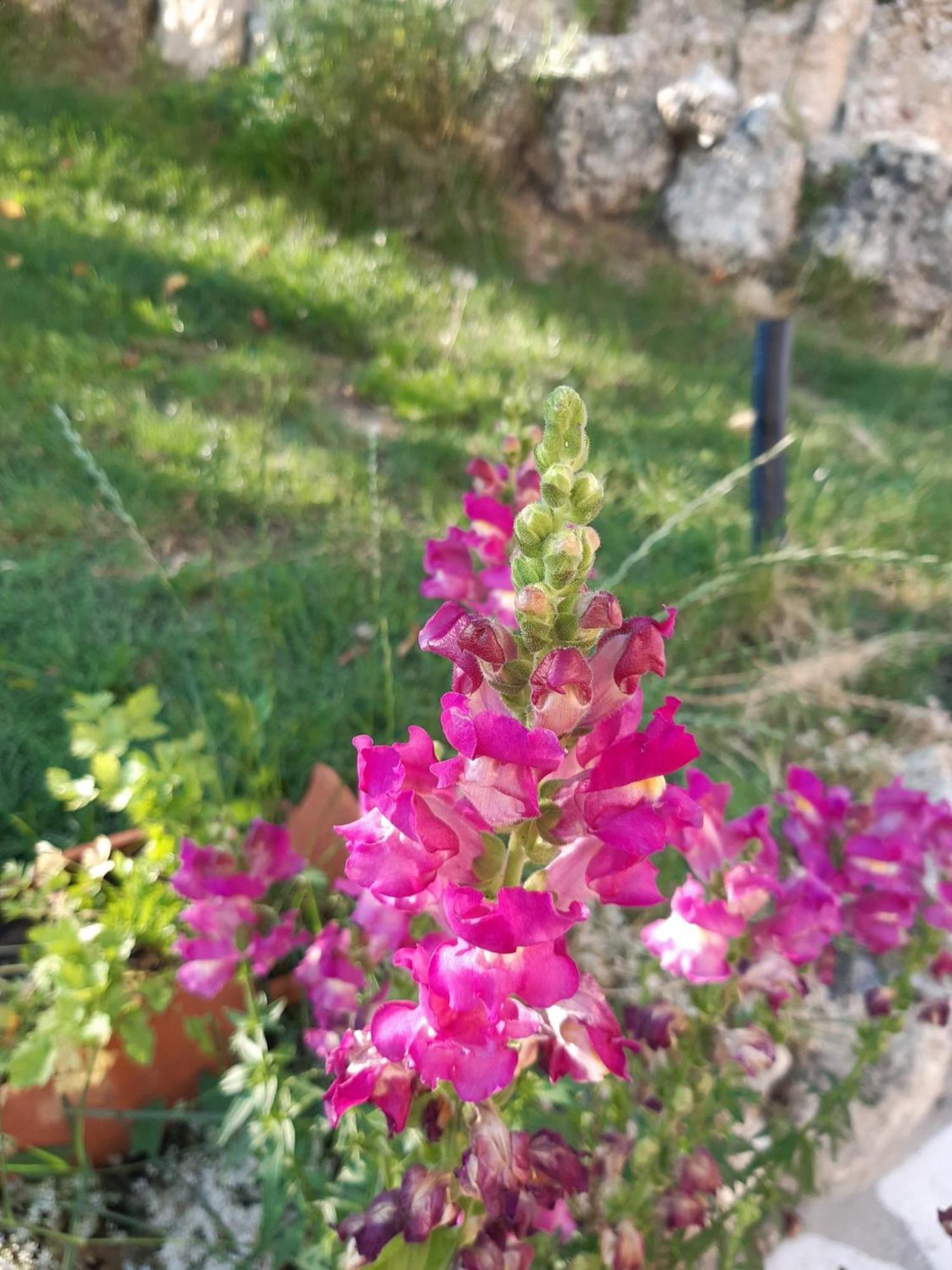 Bed and Breakfast Il Girasole Castelvecchio Calvisio Экстерьер фото