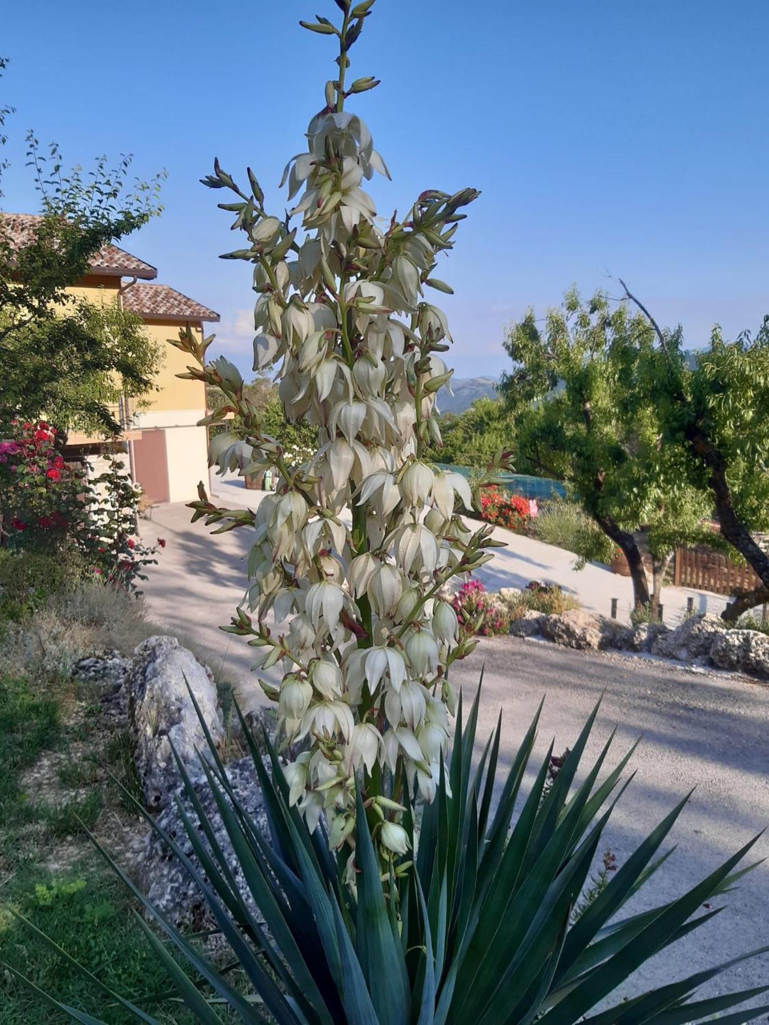 Bed and Breakfast Il Girasole Castelvecchio Calvisio Экстерьер фото