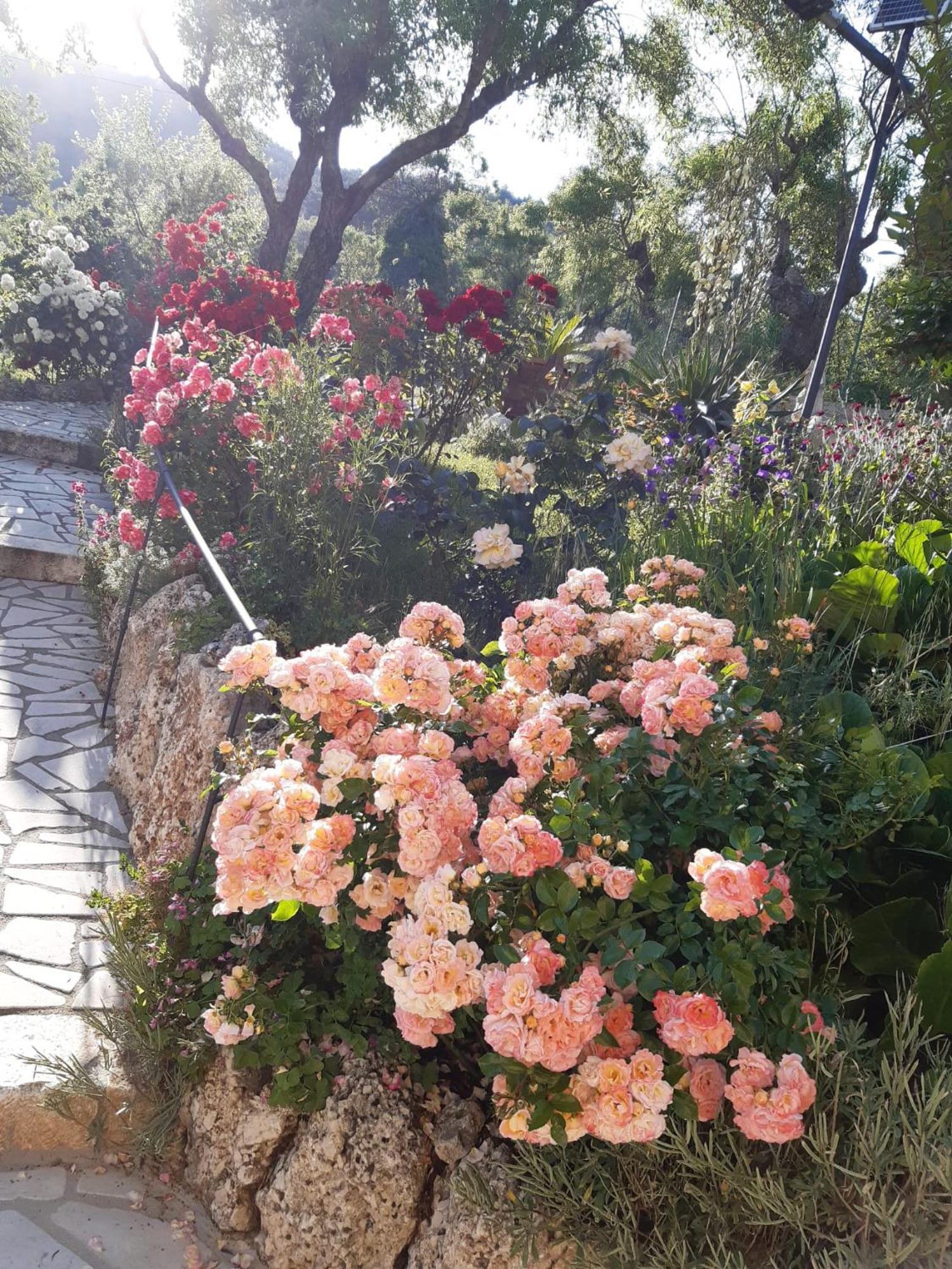 Bed and Breakfast Il Girasole Castelvecchio Calvisio Экстерьер фото