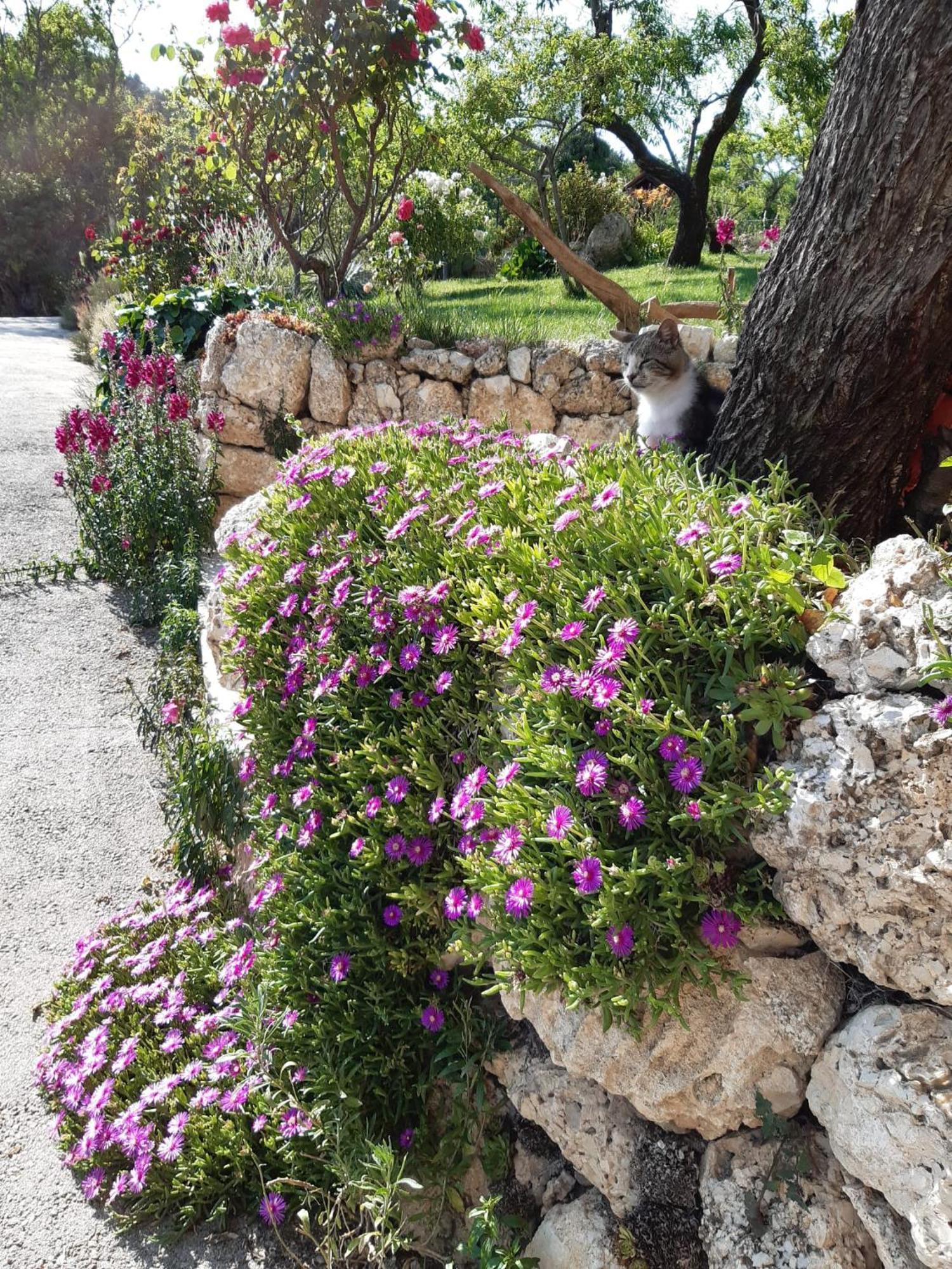 Bed and Breakfast Il Girasole Castelvecchio Calvisio Экстерьер фото